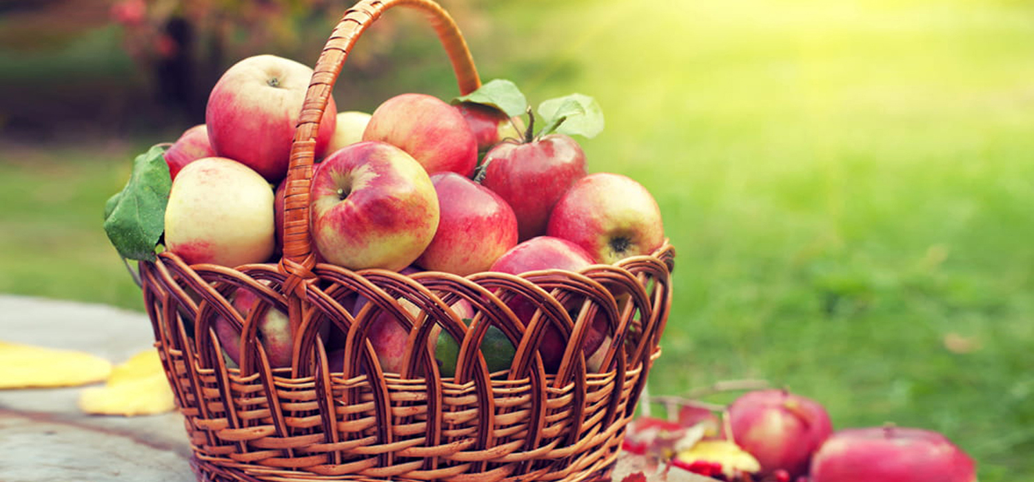 Assorted fresh produce